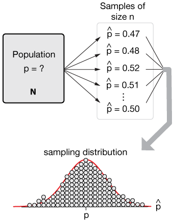 Sampling distributions